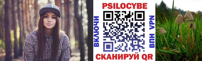 Псилоцибиновые грибы Psilocybine cubensis  цены наркотик  mega   это Telegram  Березники 