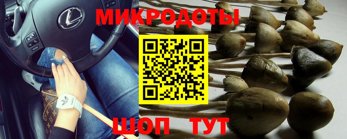 Галлюциногенные грибы Psilocybe  Псилоцибиновые грибы мицелий  Вход с VPN  Березники 