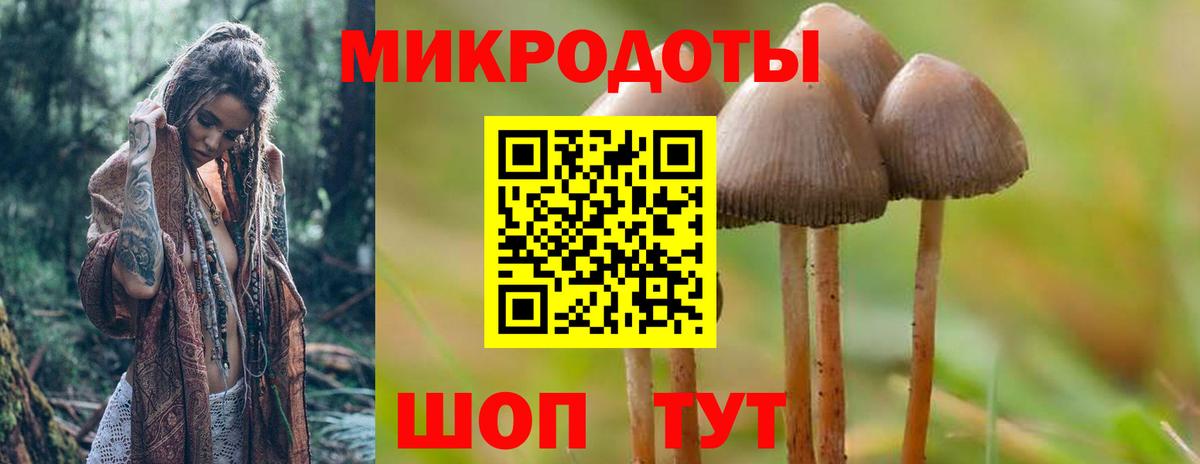 Галлюциногенные грибы GOLDEN TEACHER Березники