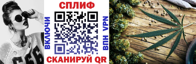 где продают наркотики  Березники  Бошки марихуана тримм 